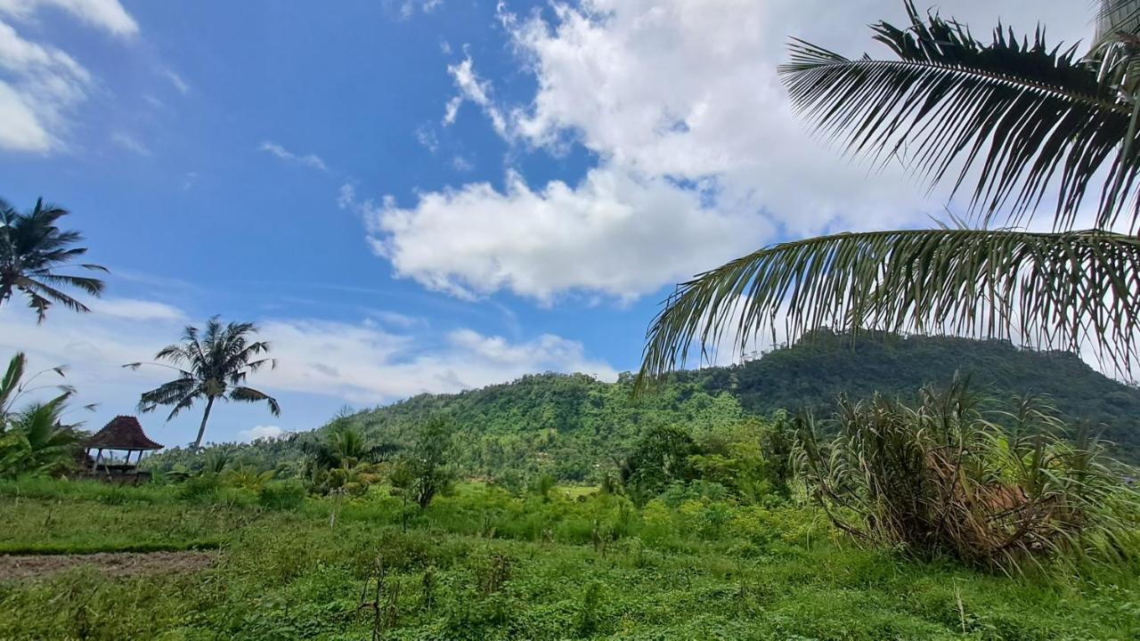 Karangasem The Bukit Artha Bed & Breakfast エクステリア 写真