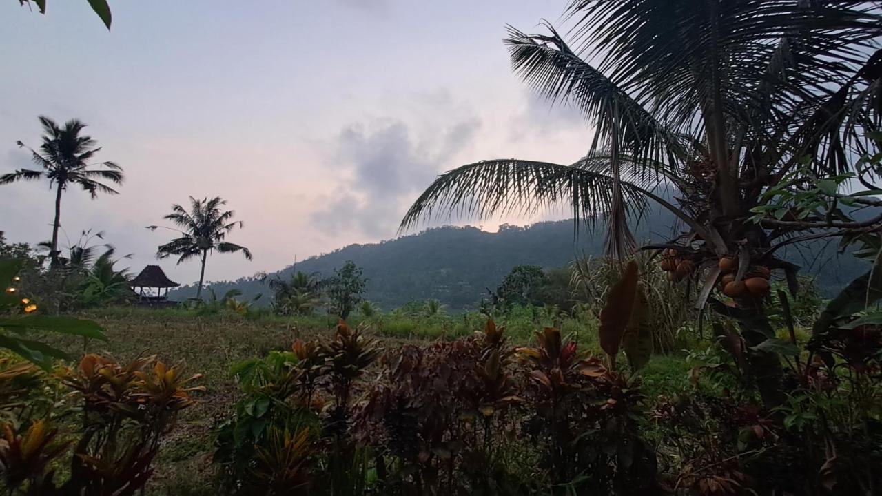 Karangasem The Bukit Artha Bed & Breakfast エクステリア 写真