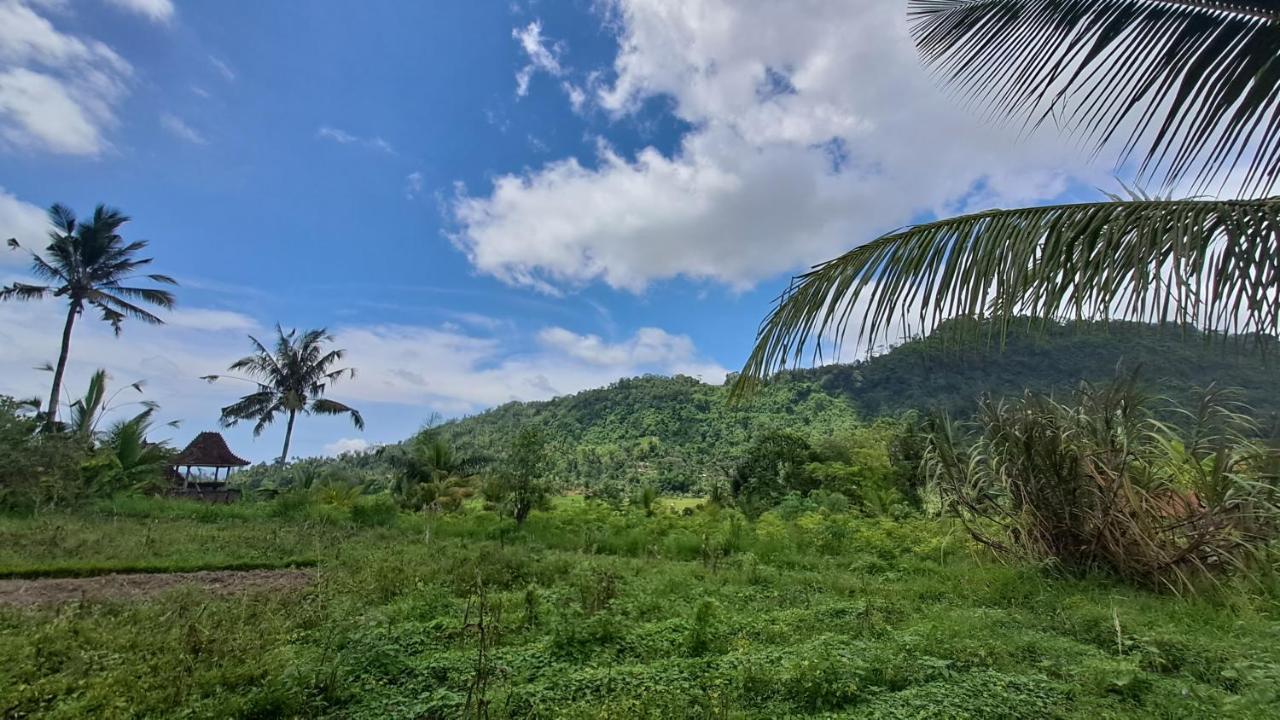 Karangasem The Bukit Artha Bed & Breakfast エクステリア 写真
