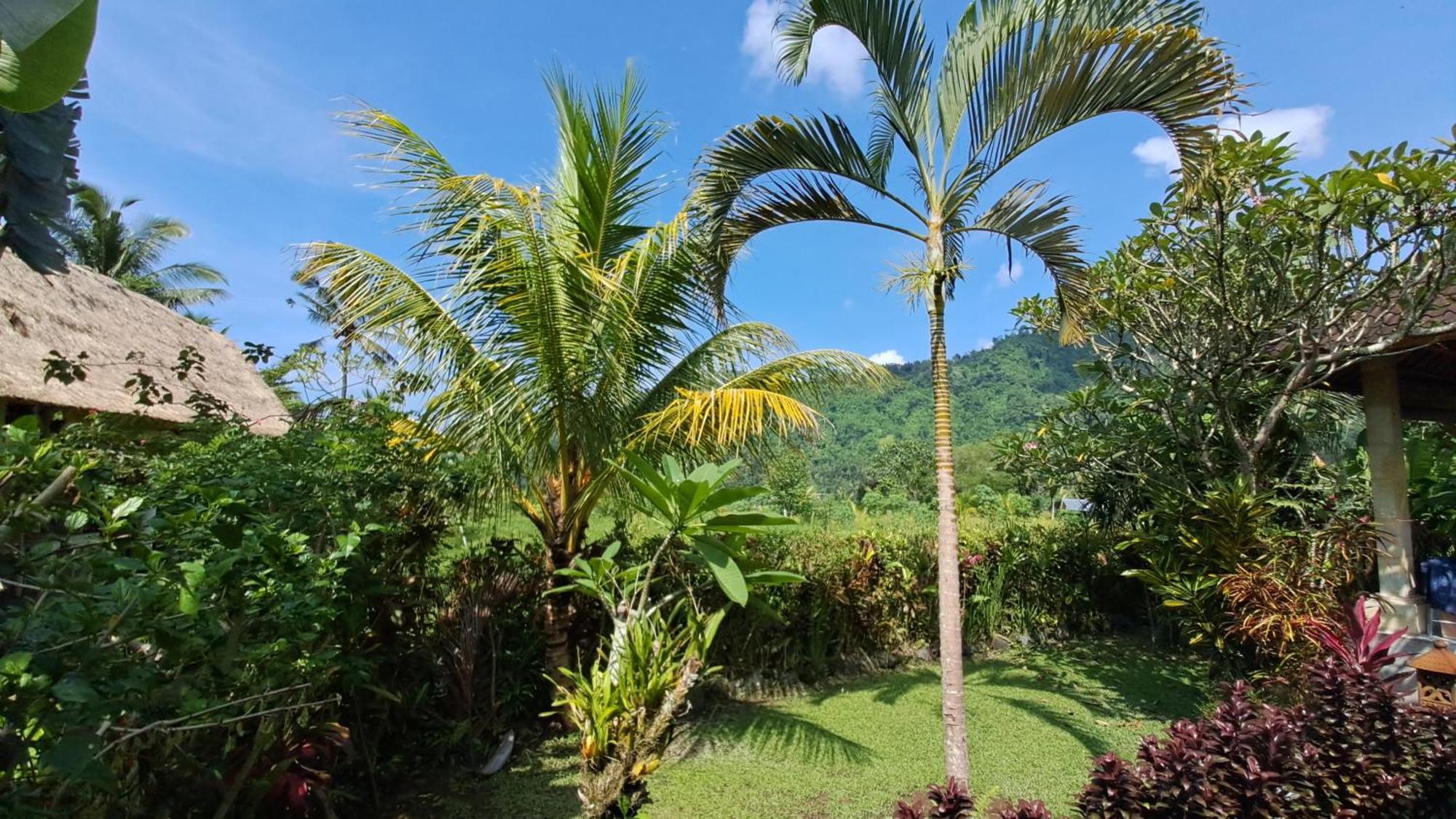 Karangasem The Bukit Artha Bed & Breakfast エクステリア 写真